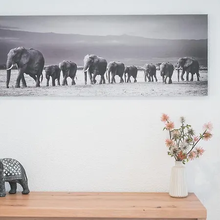 Roomfall Mit Tg & Wi-fi & Balkon Appartement